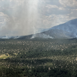 The Divide Fire burned 26, 514 acres in the Gila National Forest, New Mexico.